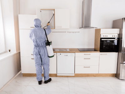 About Roach Control Payson Rodeo - roach control experts in Payson Rodeo