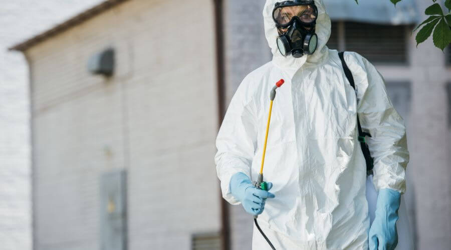 Professional roach control services in Payson Rodeo - Roach Control Payson Rodeo